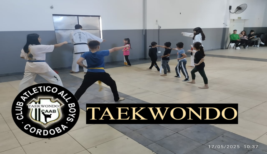 Taekwondo